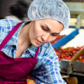 What are the steps in the food supply chain?